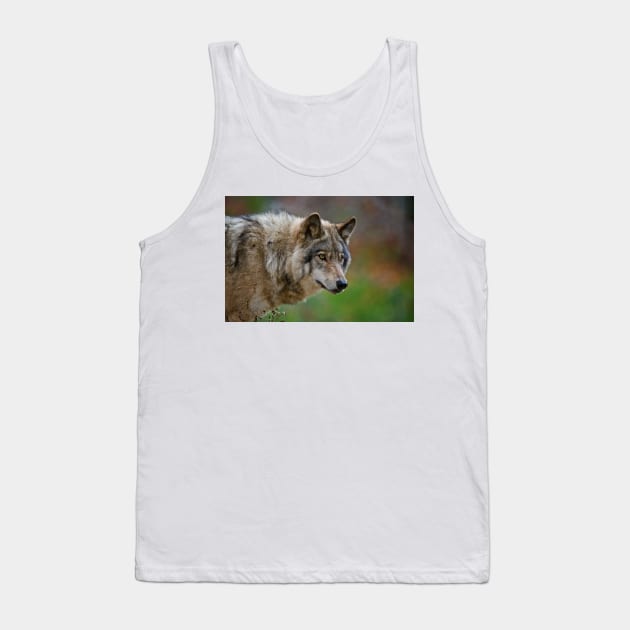 Timber Wolf Tank Top by jaydee1400